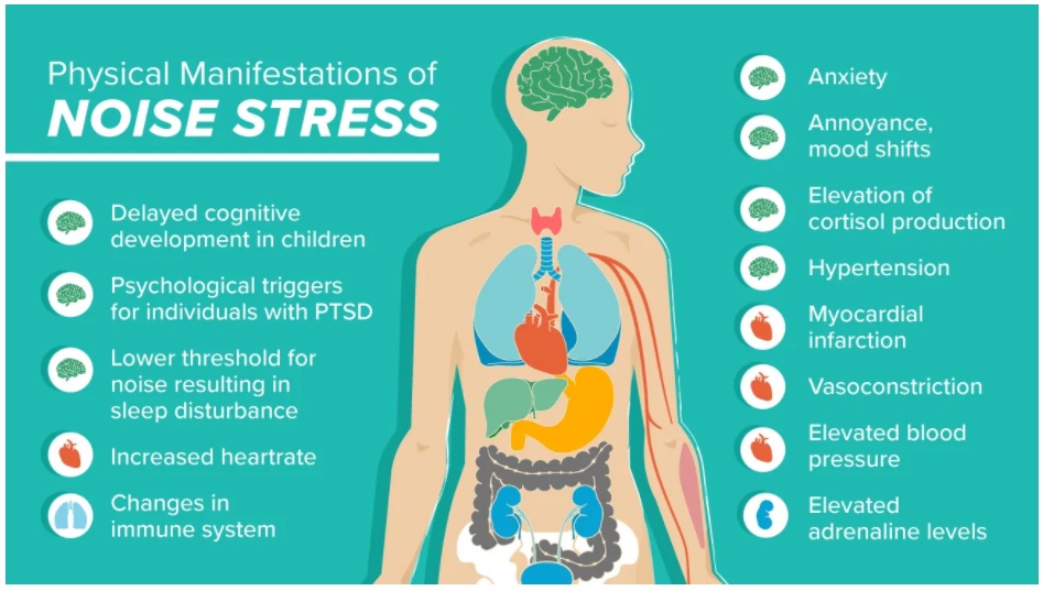 stress hormones in the research on cardiovascular effects of noise